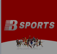 必一运动·(B-Sports)官方网站